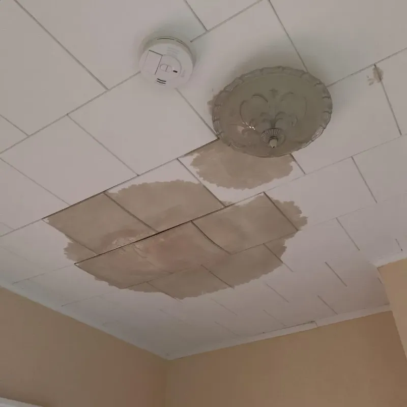 Ceiling Water Damage Repair in Gogebic County, MI
