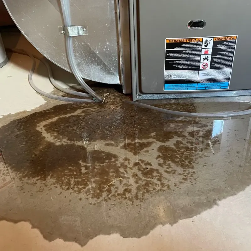 Pipe Burst and Leak Restoration in Gogebic County, MI
